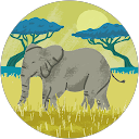 Souleymane Koné Souleymane Koné